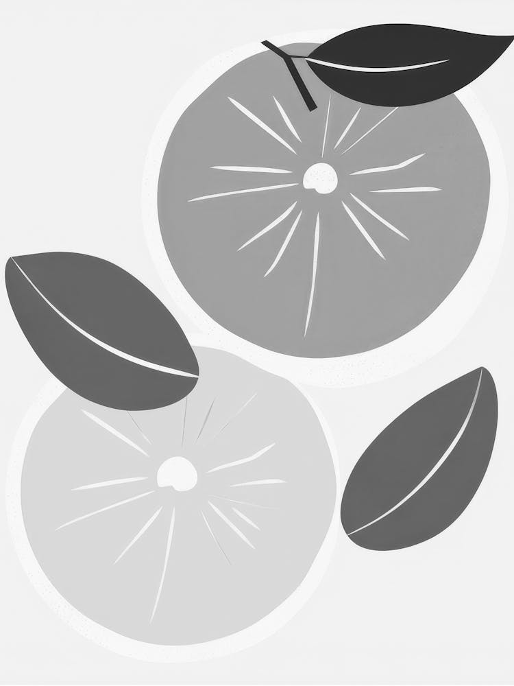 Black And White Oranges
