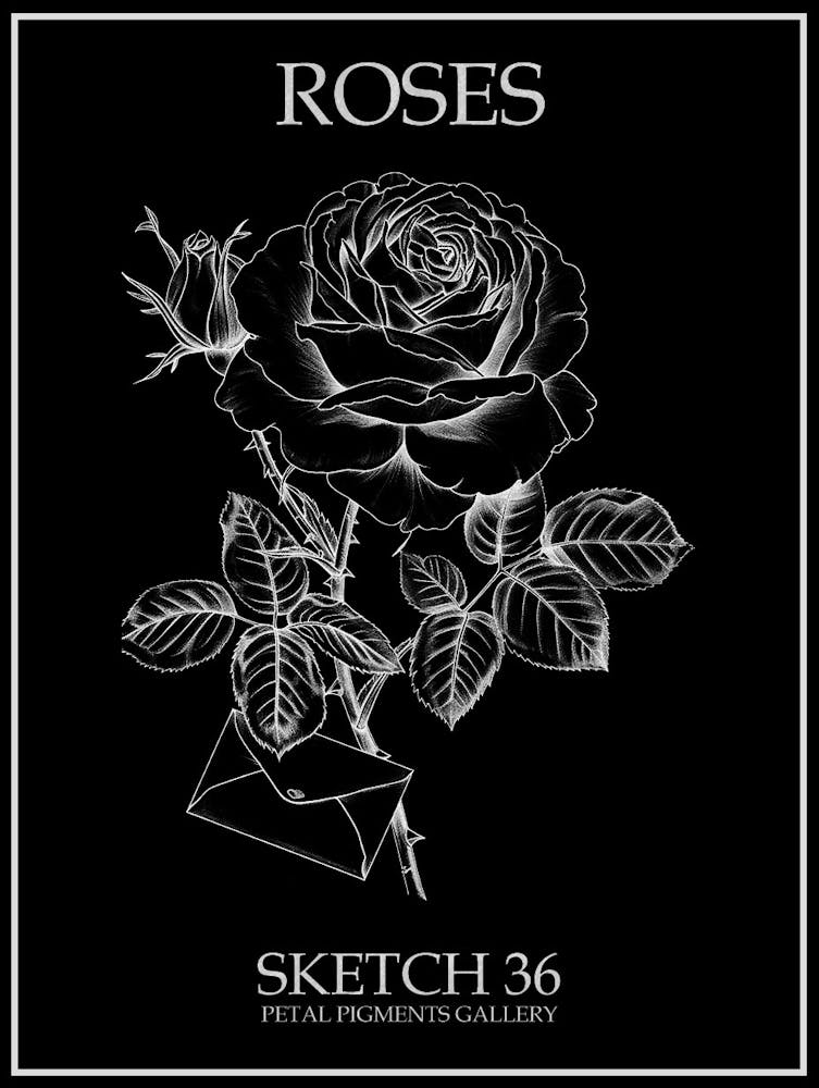 Roses Sketch 36 Poster Inverted