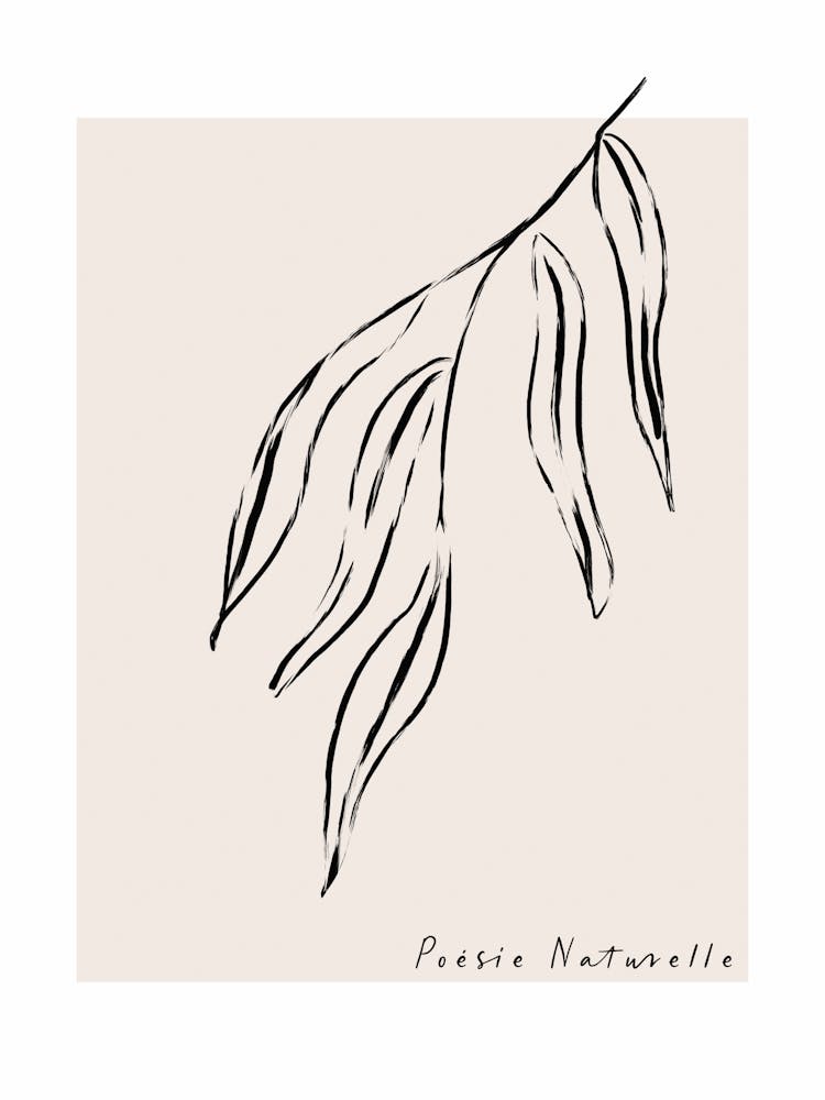 The new simple no 26
