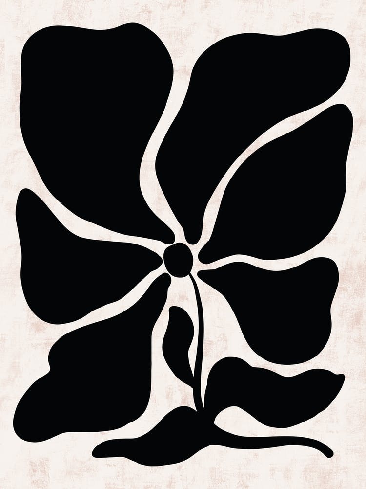 Black And White Flower