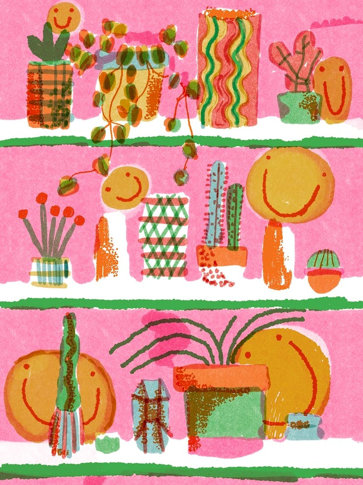 Bardot Brush Plant Coloring Page