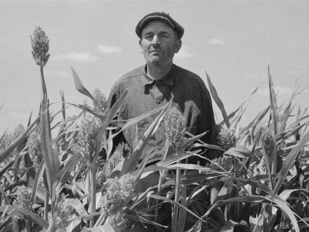 Untitled Photo, Possibly Related To Mr Wright, Tenant Farmer Of Mr, Johnson And In Cooperative With Him In Irrigatio 1