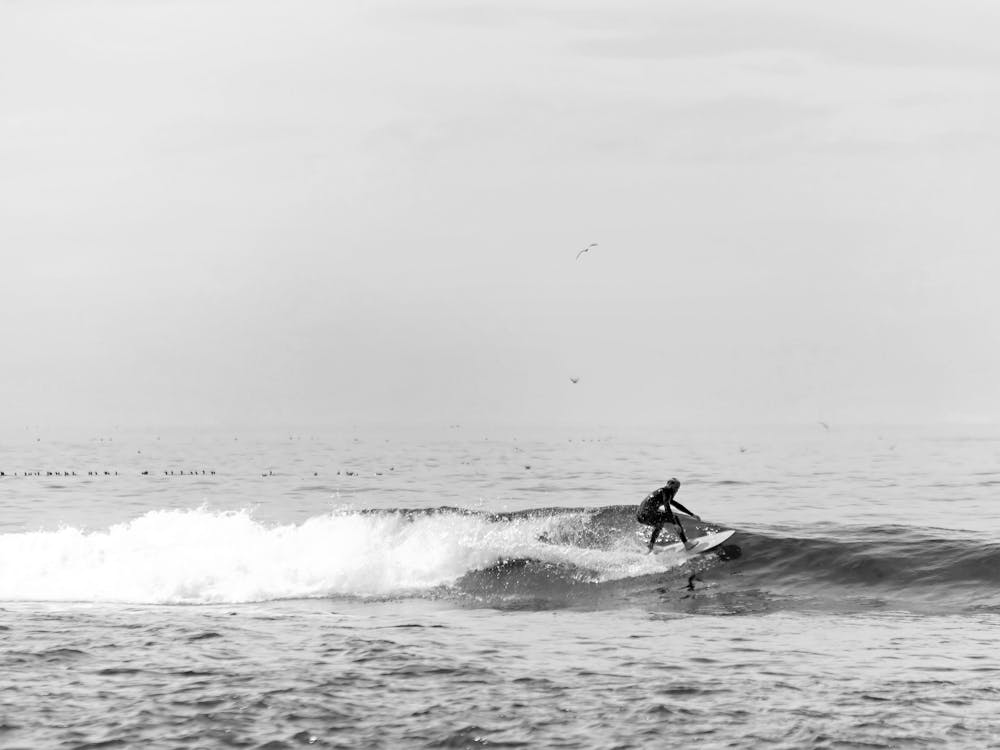 Black and White Surfer