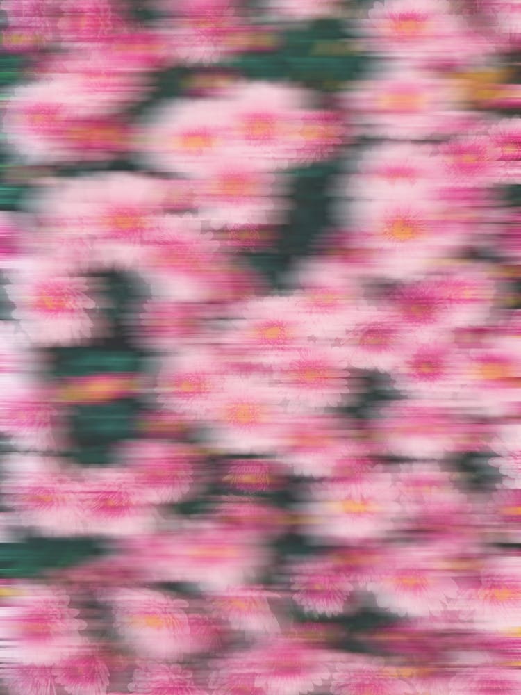 Pink Motion Flowers