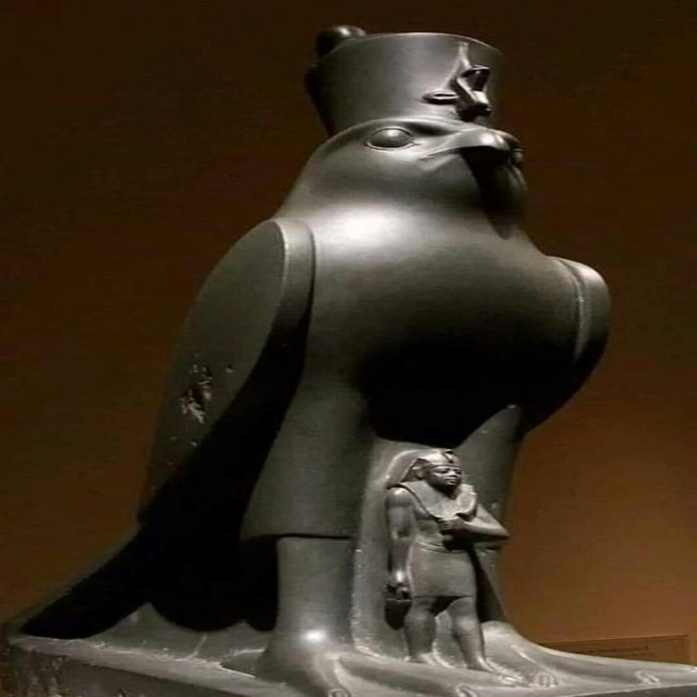 Egyptian Eagle