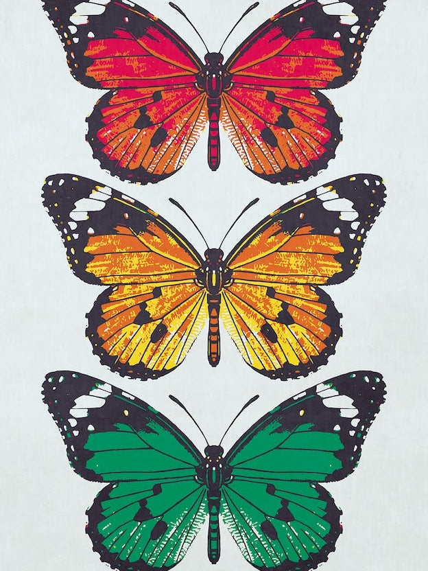 Butterflies 1