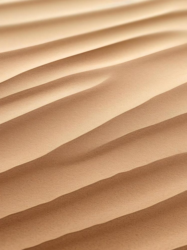 Sand Dune 4