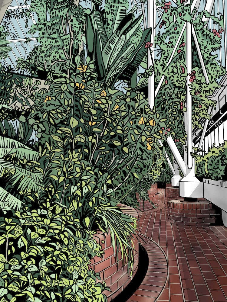 Barbican Conservatory Brick Path