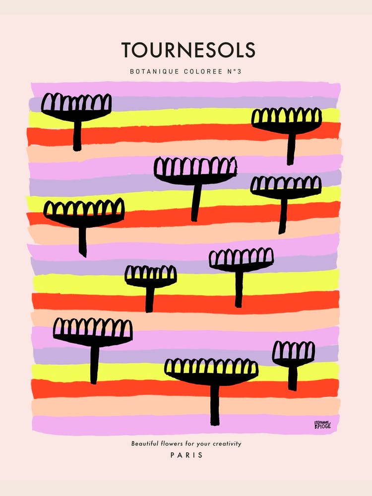 Botanic Collection - Peach Fuzz - Tournesol Sunflower