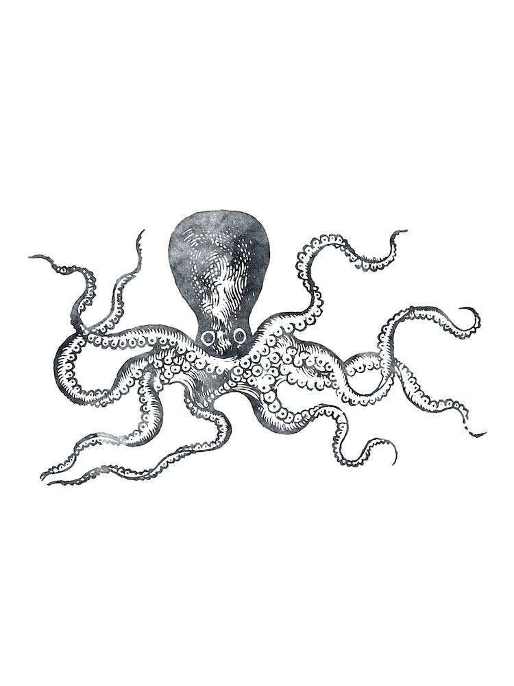 Inkpress Octopus 2
