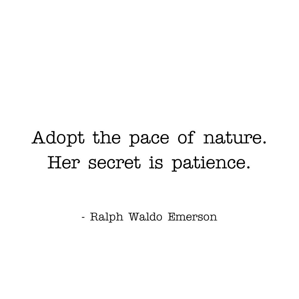 Adopt The Pace Of Nature Ralph Waldo Emerson quote
