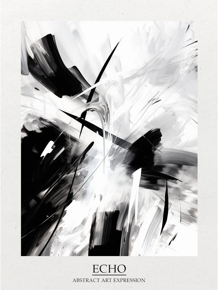 Echo Abstract Black And White 2 Poster