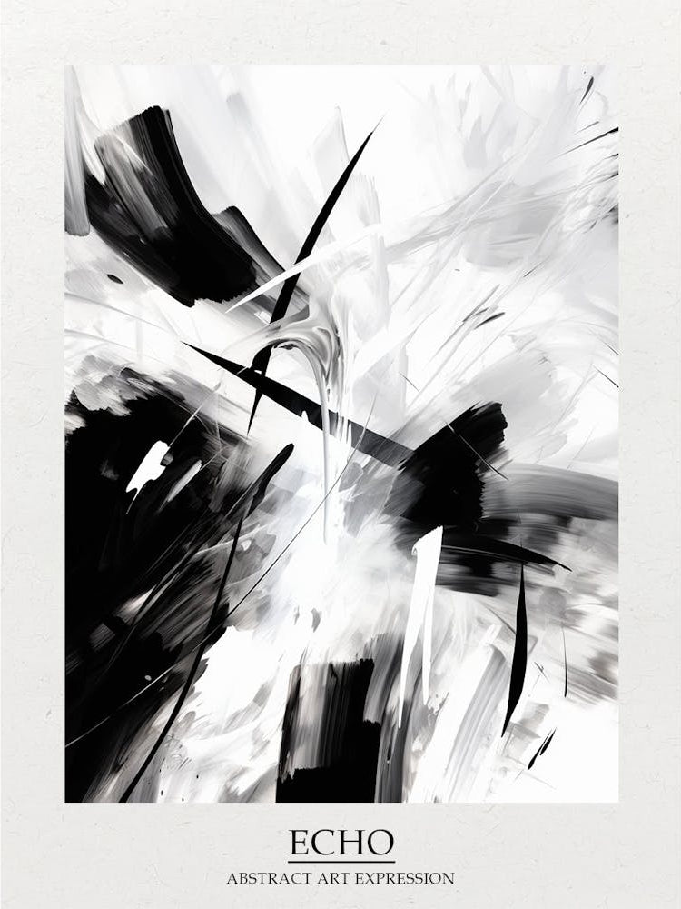 Echo Abstract Black And White 2 Poster