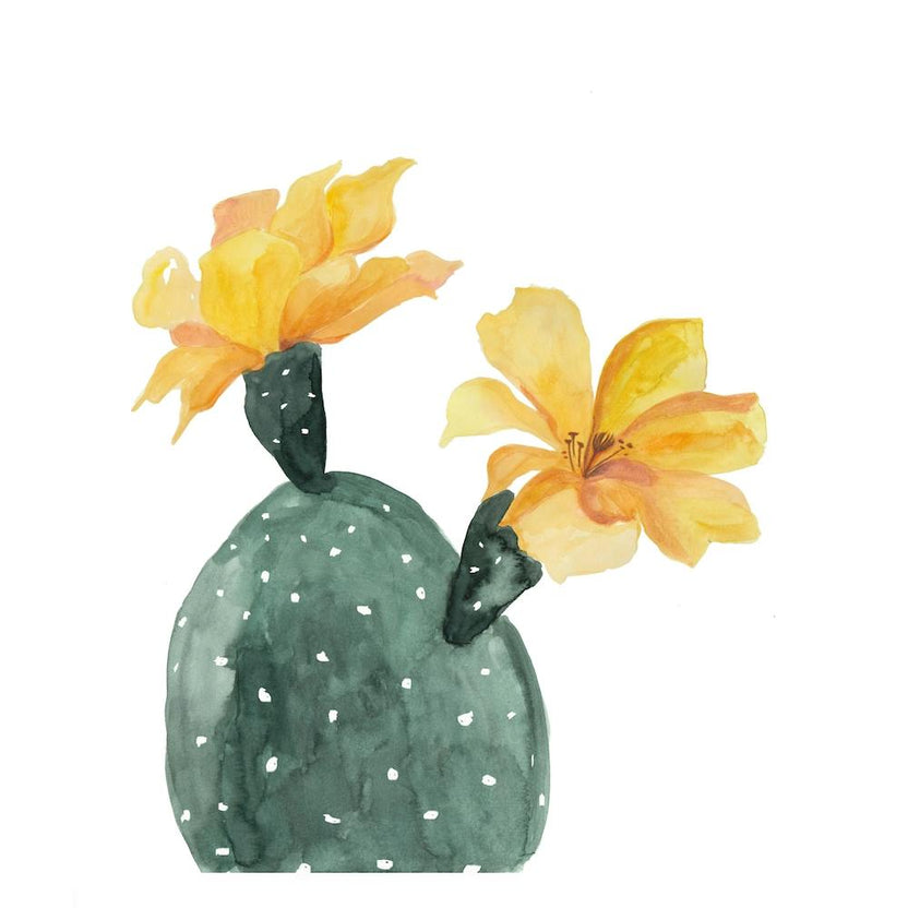 Botanical Illustration   Yellow Cactus Flower