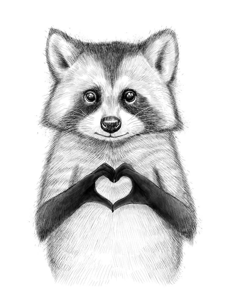 Raccoon With Heart