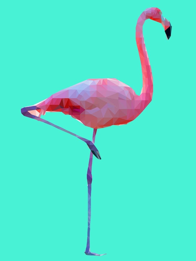 Flamingo Mint