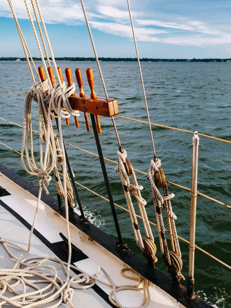 Charleston Sailboat IV