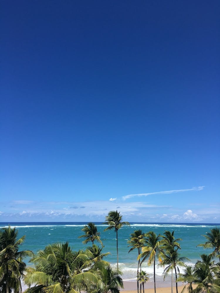 Beach Views in Puerto Rico 1