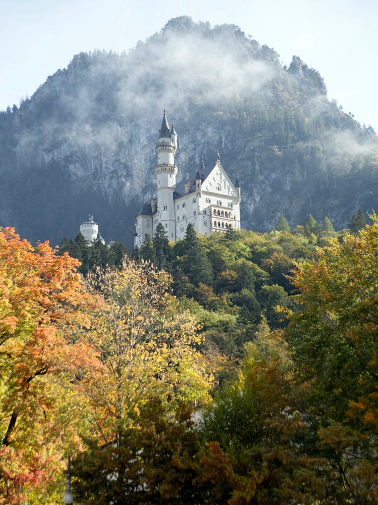 Misty Magical Castle Neuschwanstein