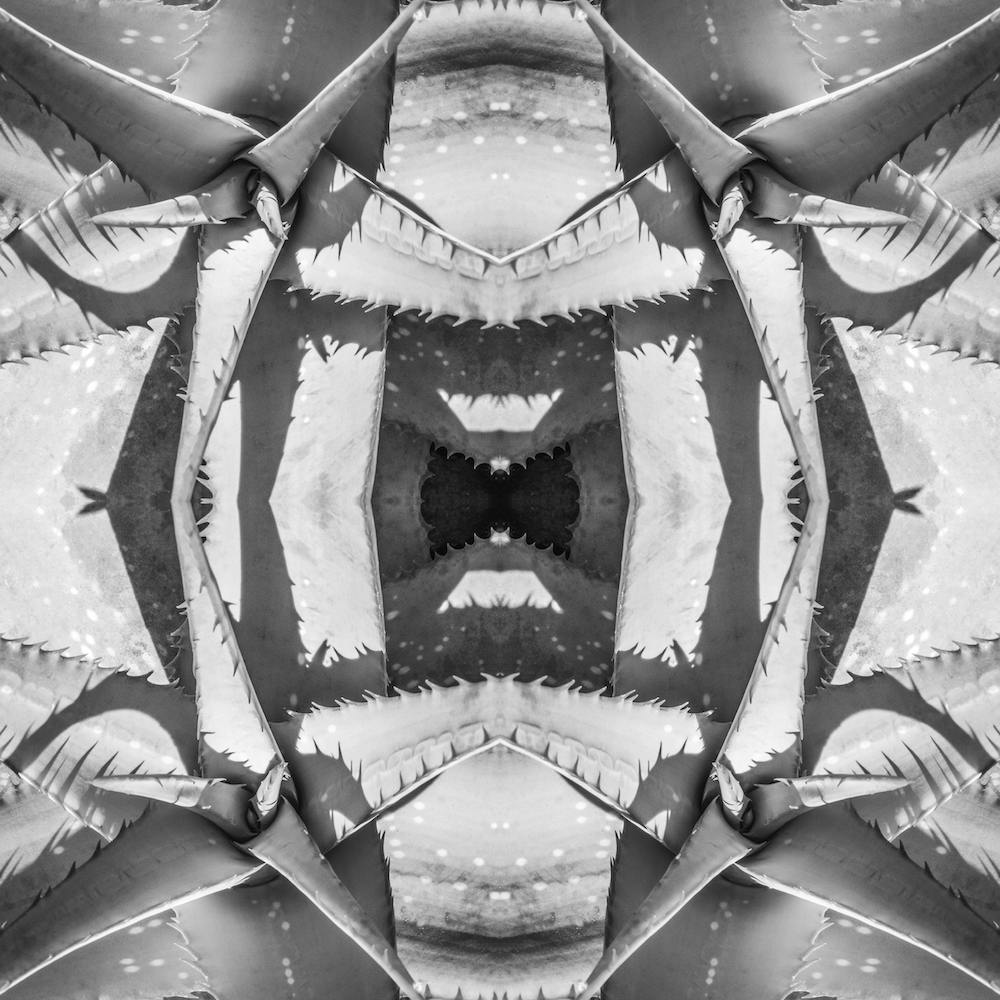 Starry Eyed Bw
