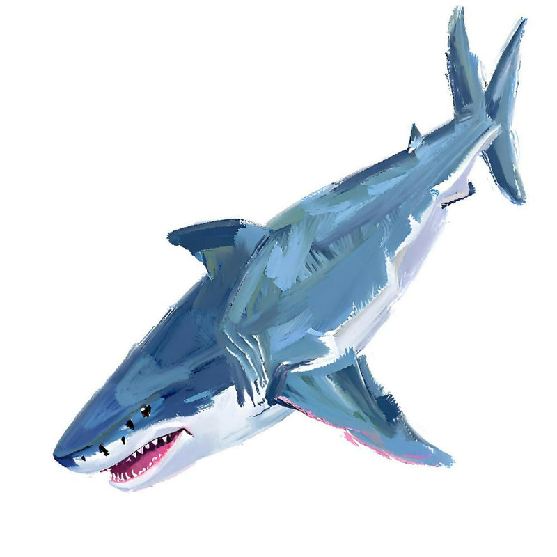 Great White Shark 05