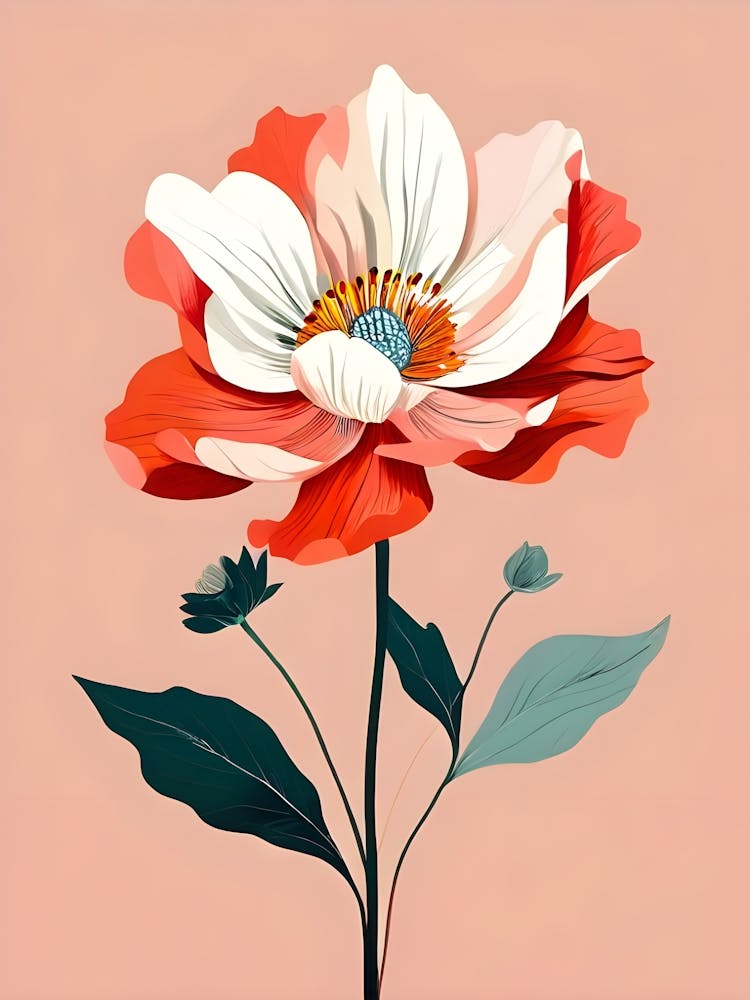 Peony 16