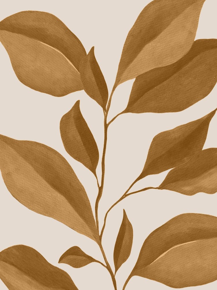 Minimal Plant 63