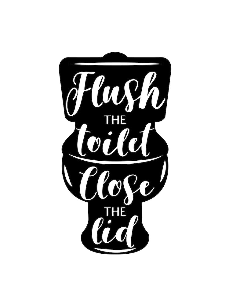 flush the toilet and close the lid