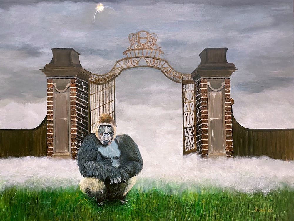 The Gorilla At The Gate