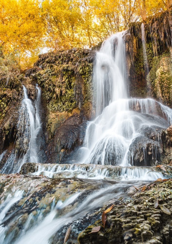 Cascade Avec Arbres Jaunes