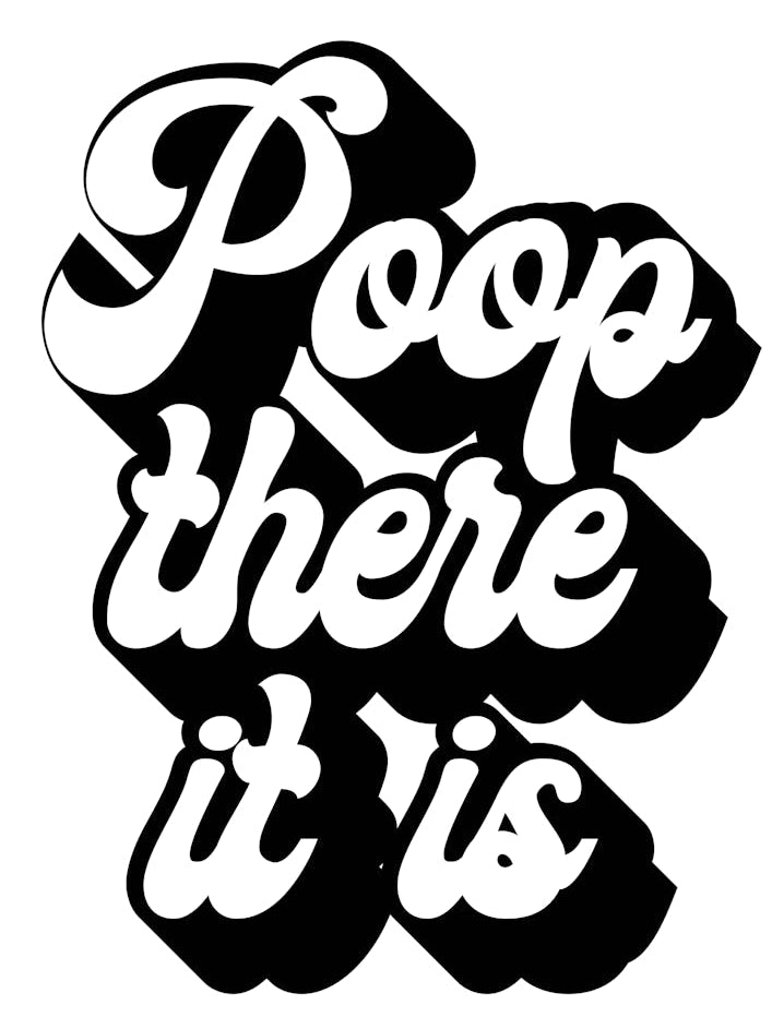 Poop There It Is Retro Font