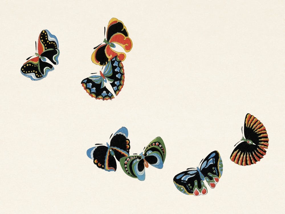 Japanese Woodblock Butterfly, Cho Senshu