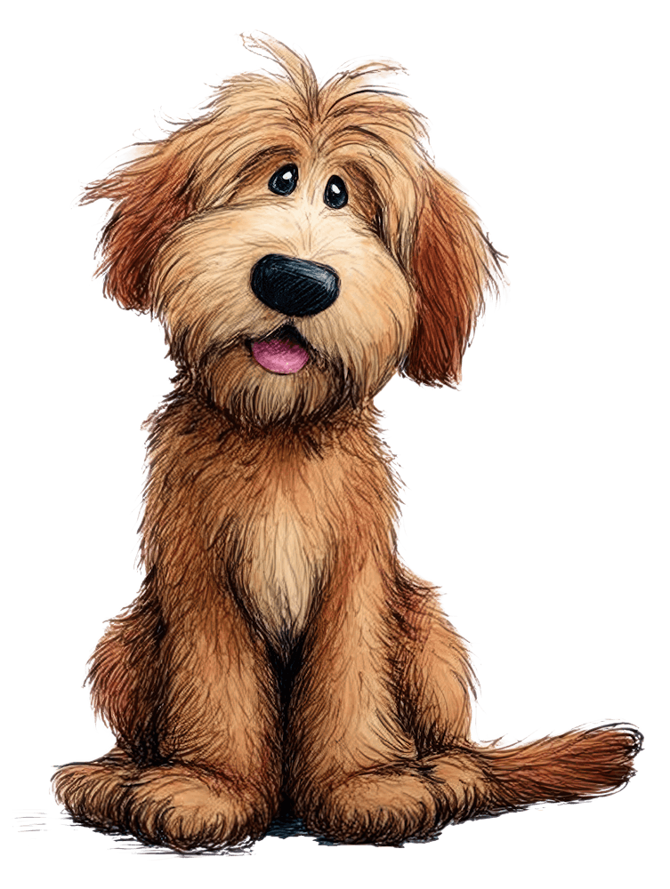 Labradoodle 2 Dog