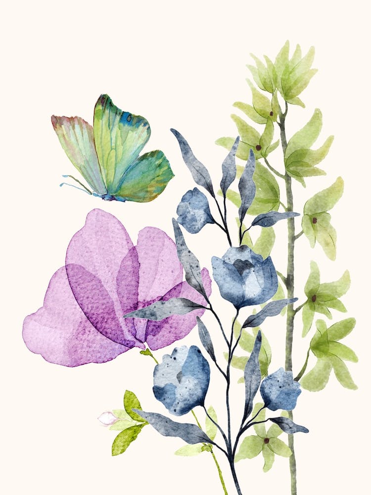Watercolor Of Flowers And Butterflies