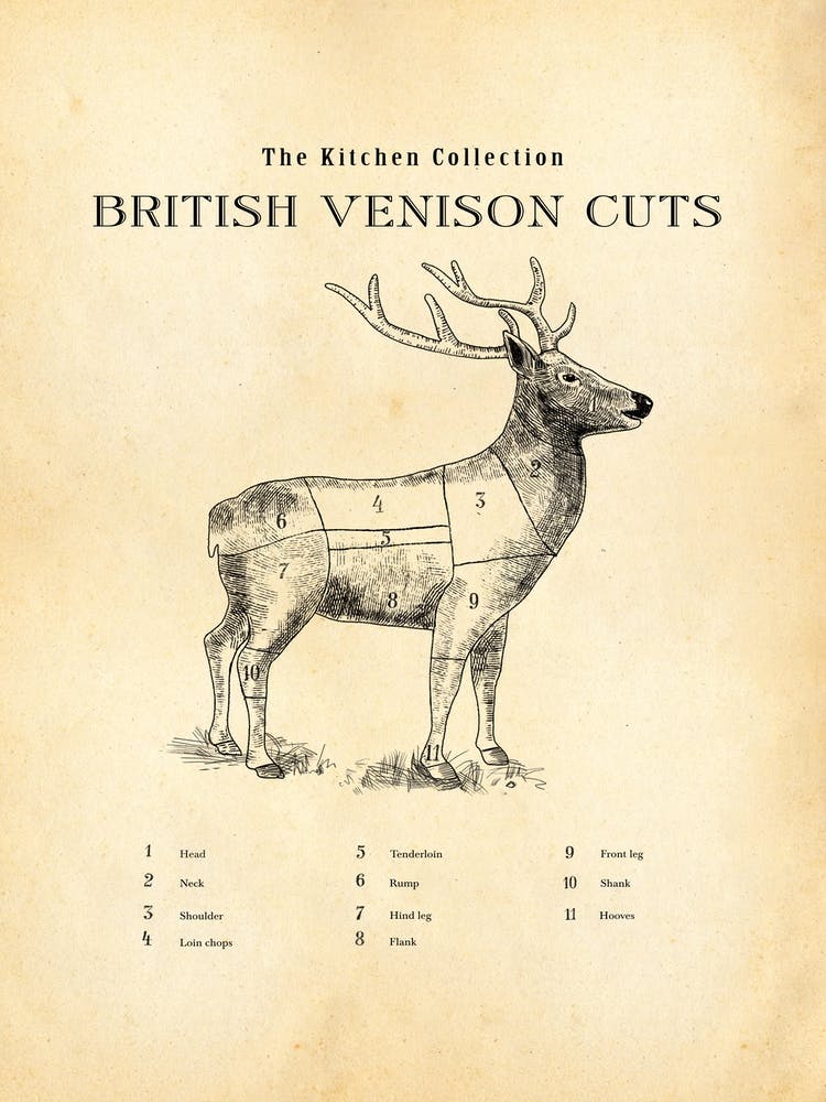 British Venison Chart Butcher Chart