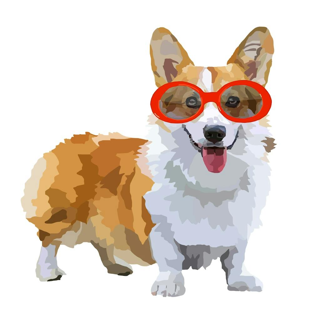 Corgi Wearing Glasses