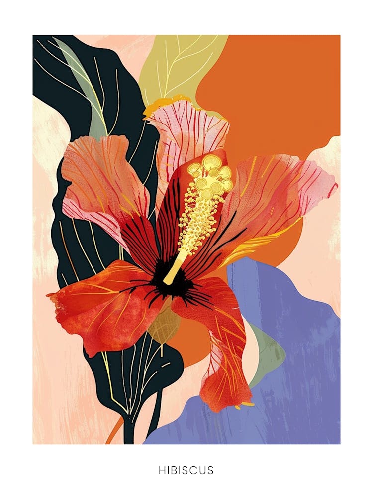 Colourful Flower Illustration Poster Hibiscus 2