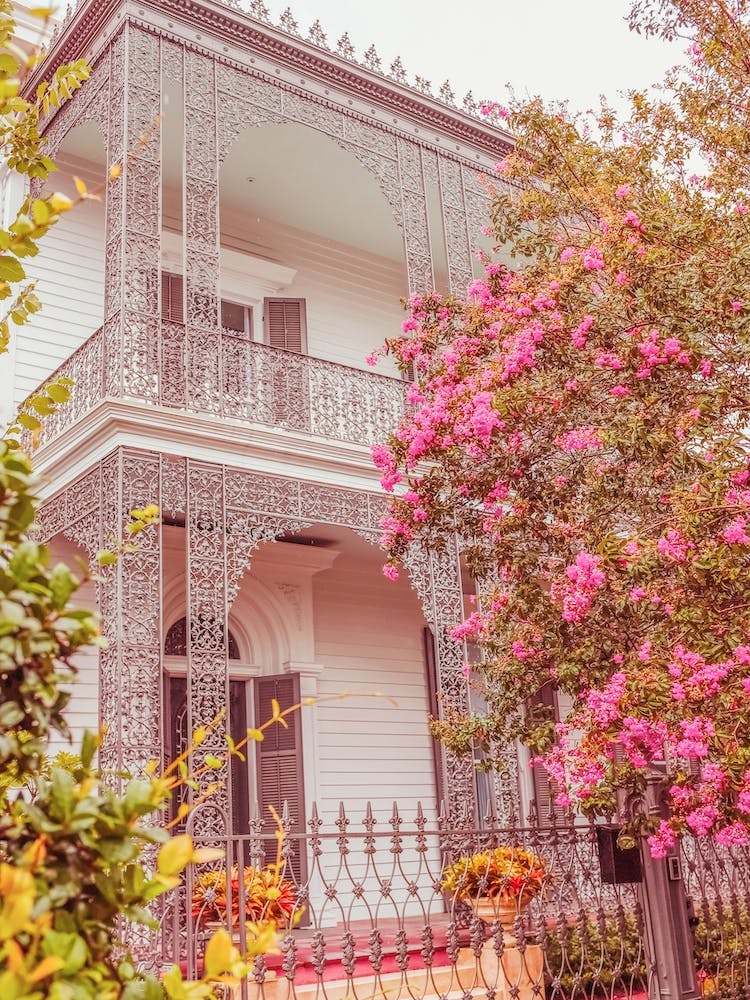 House Of Flowers