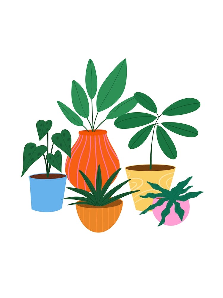 Happy Plant Pots