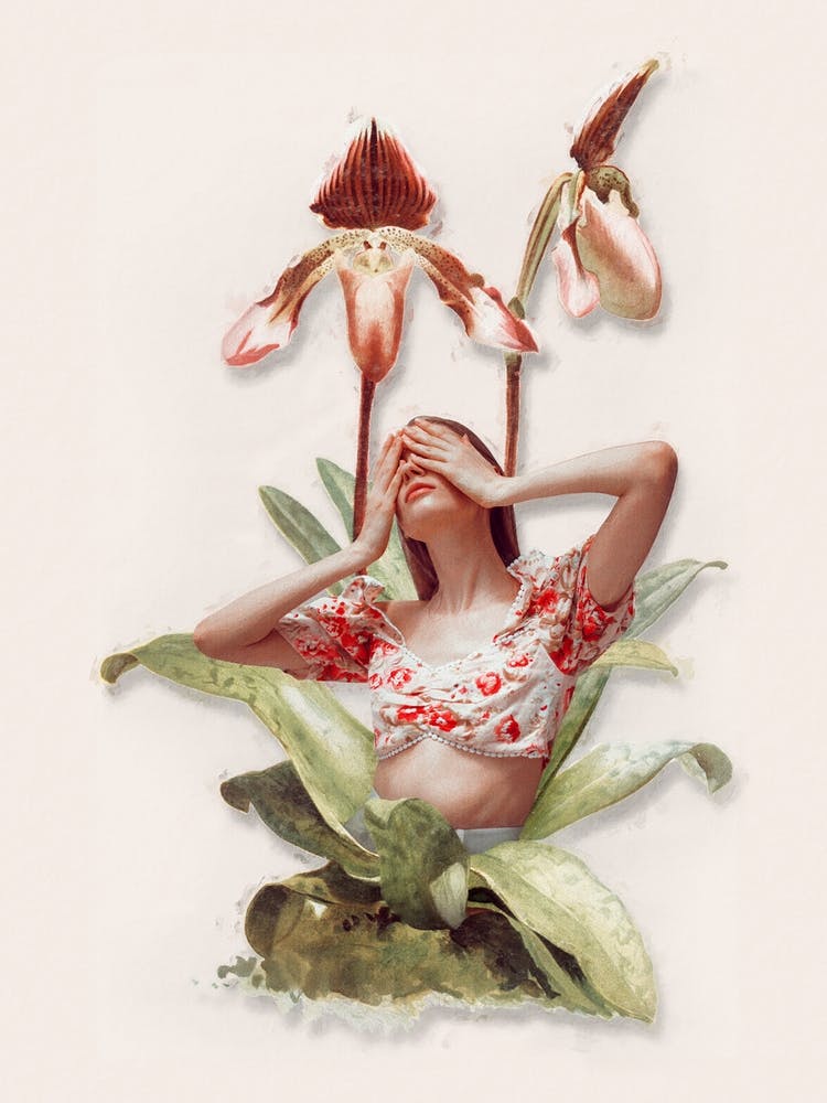 Orchid Girl