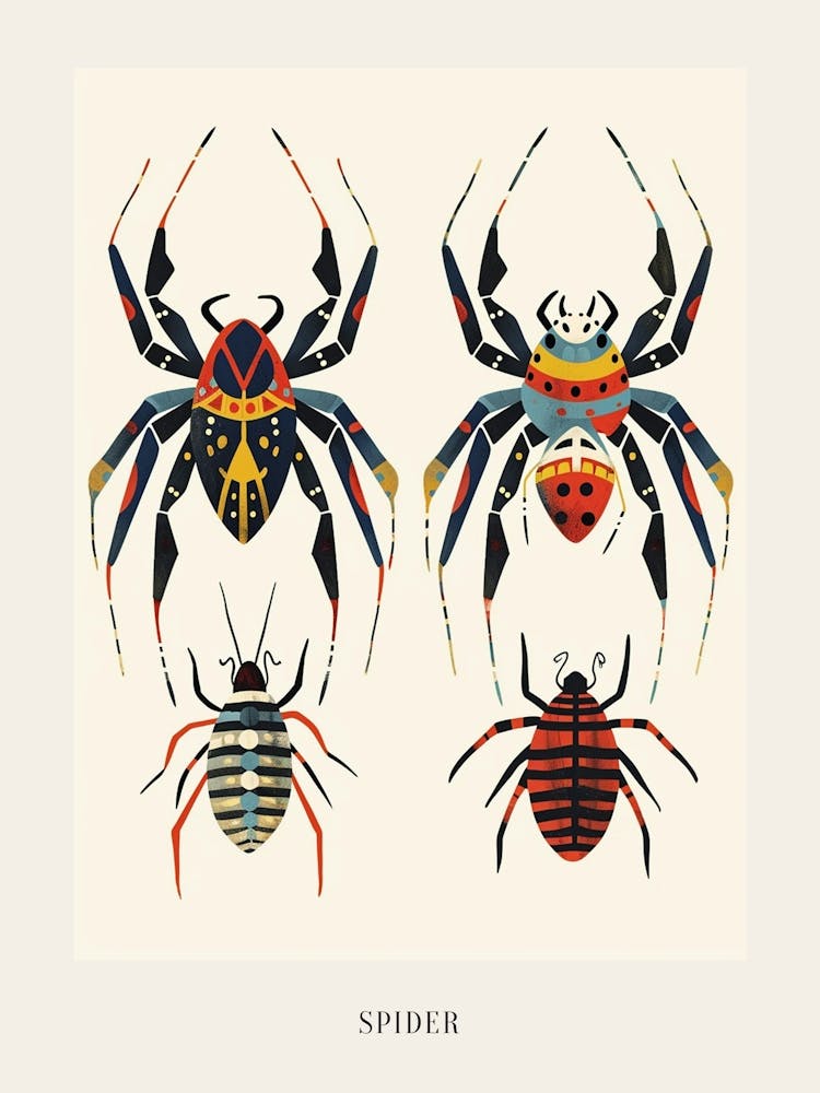 Colourful Insect Illustration Spider 9 Poster