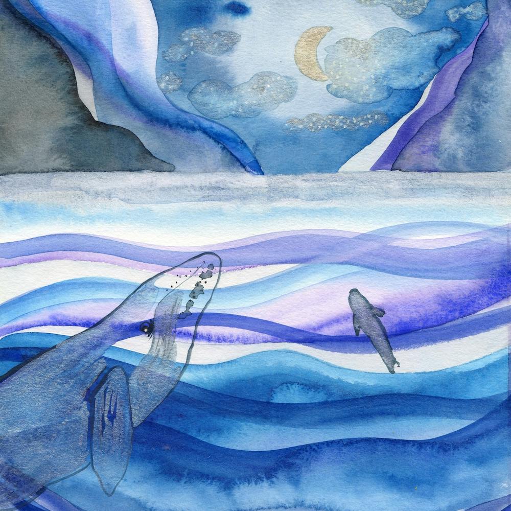 Whales
