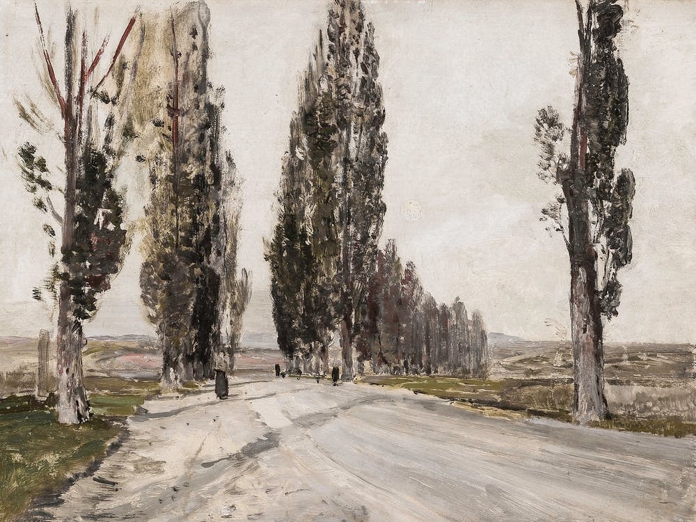 Road With Trees