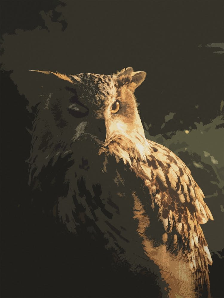 Applique Painting Of An Owl In The Sunshine