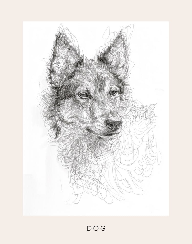 Furry Wire Haired Dog Line Sketch 3 Poster