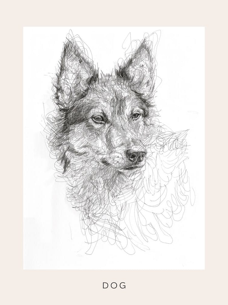 Furry Wire Haired Dog Line Sketch 3 Poster