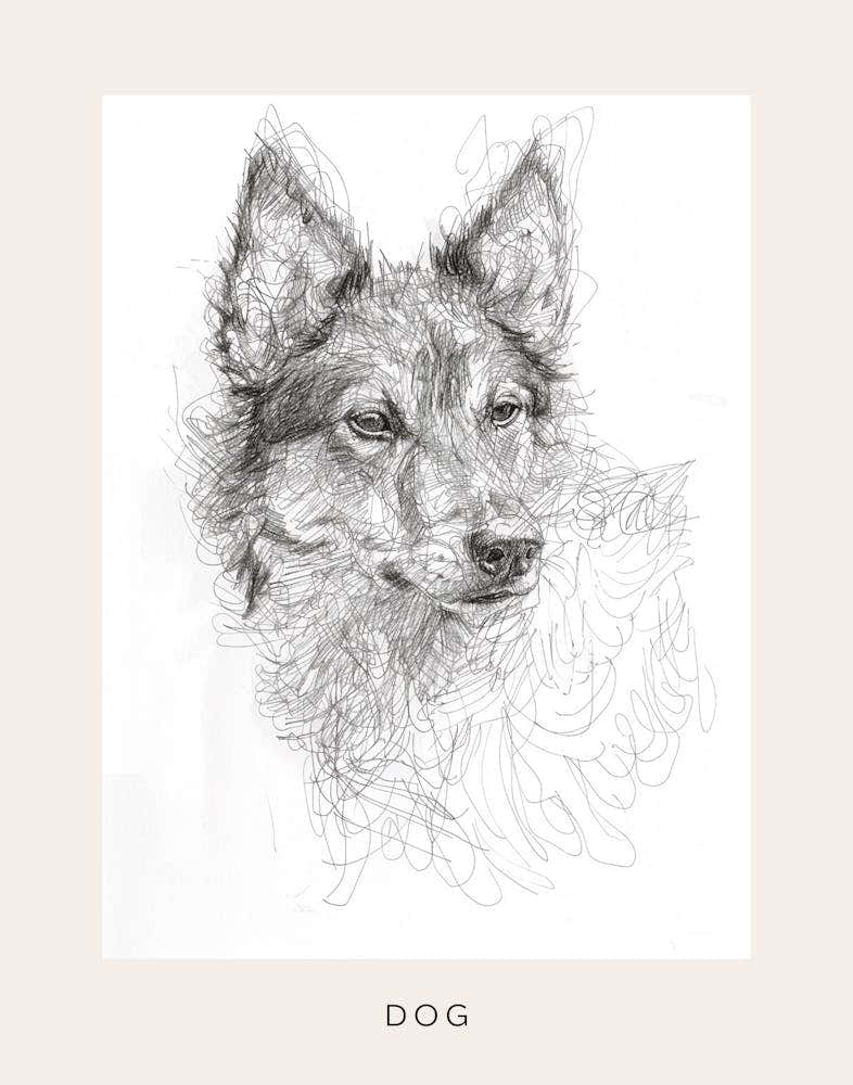 Furry Wire Haired Dog Line Sketch 3 Poster