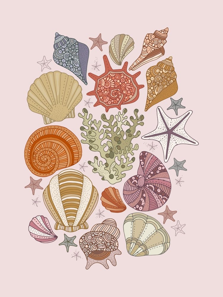 Muriel Sea shells - pink background