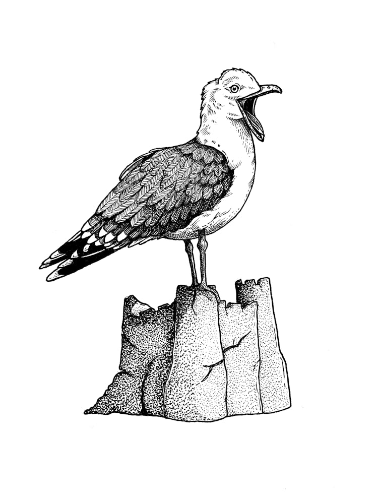 Seagull Sandcastle in Black and White Ink
