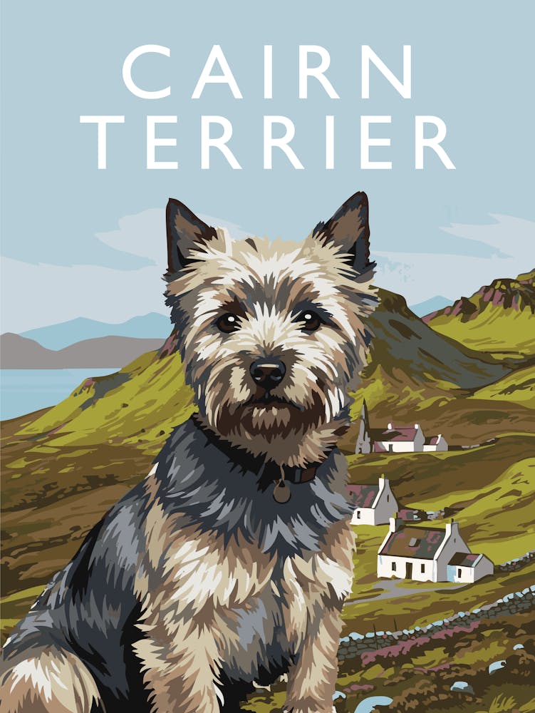Cairn Terrier